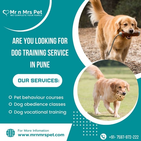 Best Dog Training Service in Pune at Affordable Price